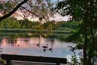 Toller Durchblick in Herbstfarben am Lensahner Mühlenteich, fotografisch eingefangen von Sonja Drews.