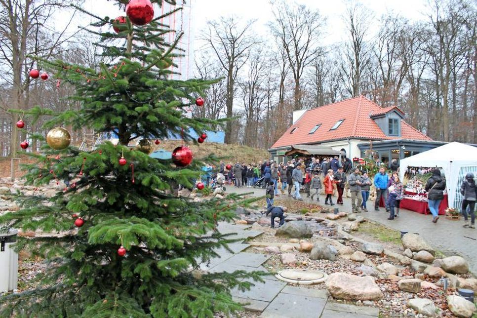 Der Bungsberg in festlichem Gewand lud zum Bummeln und Spazieren ein.