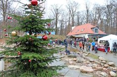 Der Bungsberg in festlichem Gewand lud zum Bummeln und Spazieren ein.