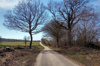 Die Strecke bietet vielfältige Landschaft und reichlich Ruhe.