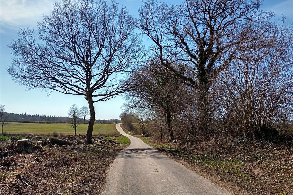Die Strecke bietet vielfältige Landschaft und reichlich Ruhe.