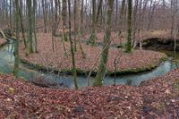 „Schönwalder Schleife“: Die dicht aufeinander folgenden Windungen bestimmen den Verlauf des kleinen Baches.