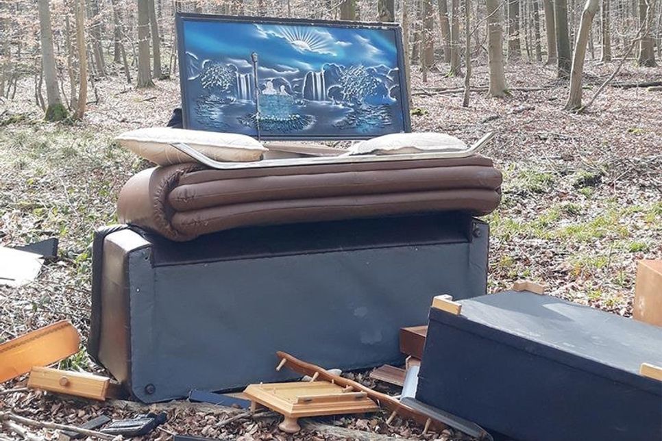 Unerlaubte Abfallbeseitigung im Wald.