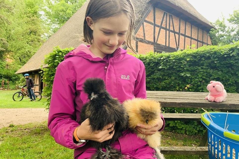 Sunna (12) hatte ihre Seidenhühner mitgenbracht.