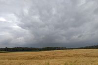 Schashagen - Tina Muus