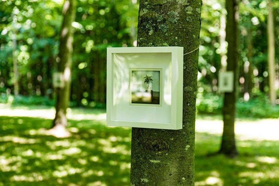 Die parkähnliche Allee auf dem Gutsgelände wird zur Galerie des Fotografen Jan Konitzki.