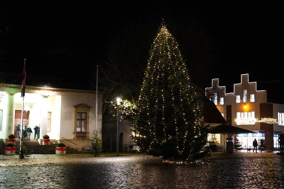 Und so sieht der Baum in voller Pracht aus.