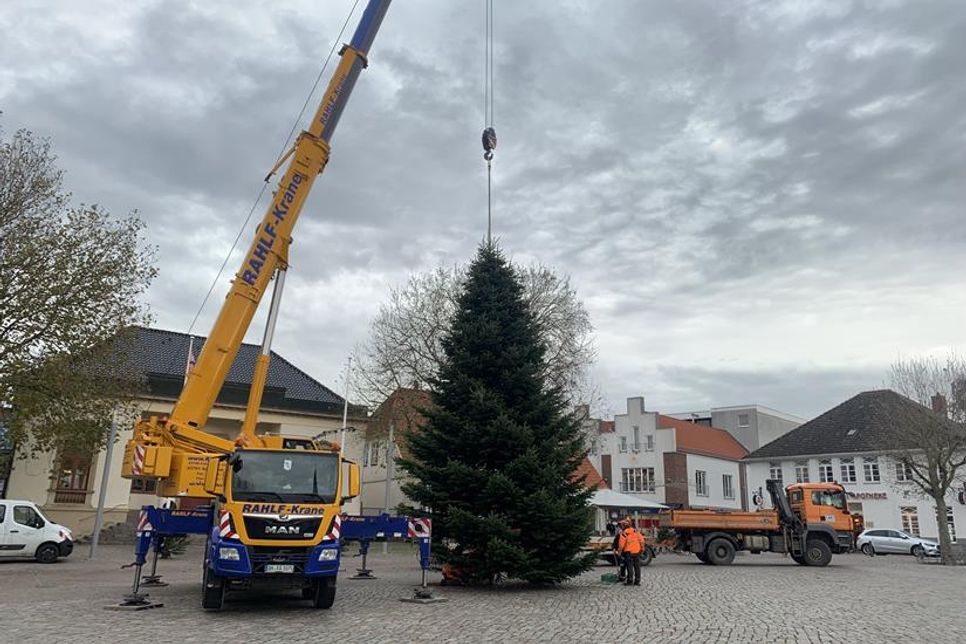 Das Aufstellen der Tanne aus Lensahnerhof erforderte viel Geschick und großes Gerät.