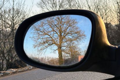 Bäume, Büsche und Knicks am Straßenrand werden im Februar gerodet.