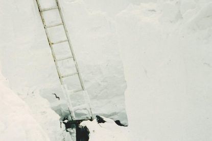 Die Schnee- und Sturmkatastrophen besiegelten das Ende der Gutsgärtnerei.