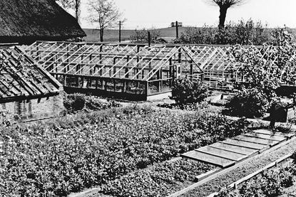 Die Gutsgärtnerei war stets eine Quelle der Freude für ihre Betreiber.