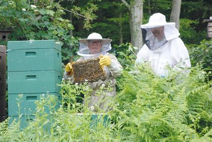 Hier die beiden Imker im Einsatz: Gartenfreund Peter Fahlstich (l.) und Gartenfreund Stephan David.
