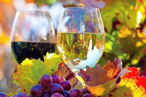 Mit allen Sinnen genießen - Weinprobe in Oberfranken. Fotolia/doris-oberfrank-list.