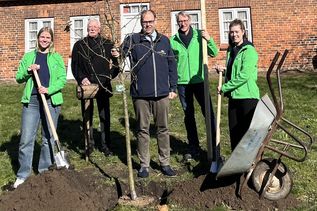 Die SWNH-Azubis Maja Wulf (lks.) und Kaya Siemens (re.) pflanzten gemeinsam mit (v. lks.) Hospitalverwalter Volker Weber, Bürgermeister Mirko Spieckermann und SWNH-Werkleiter Dr. Mark Jahn die Bäume im Hospitalgarten.
