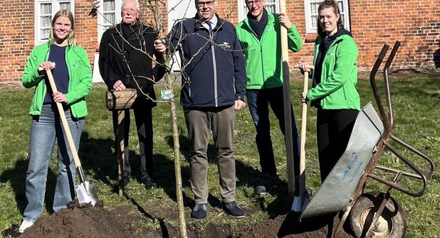 Die SWNH-Azubis Maja Wulf (lks.) und Kaya Siemens (re.) pflanzten gemeinsam mit (v. lks.) Hospitalverwalter Volker Weber, Bürgermeister Mirko Spieckermann und SWNH-Werkleiter Dr. Mark Jahn die Bäume im Hospitalgarten.