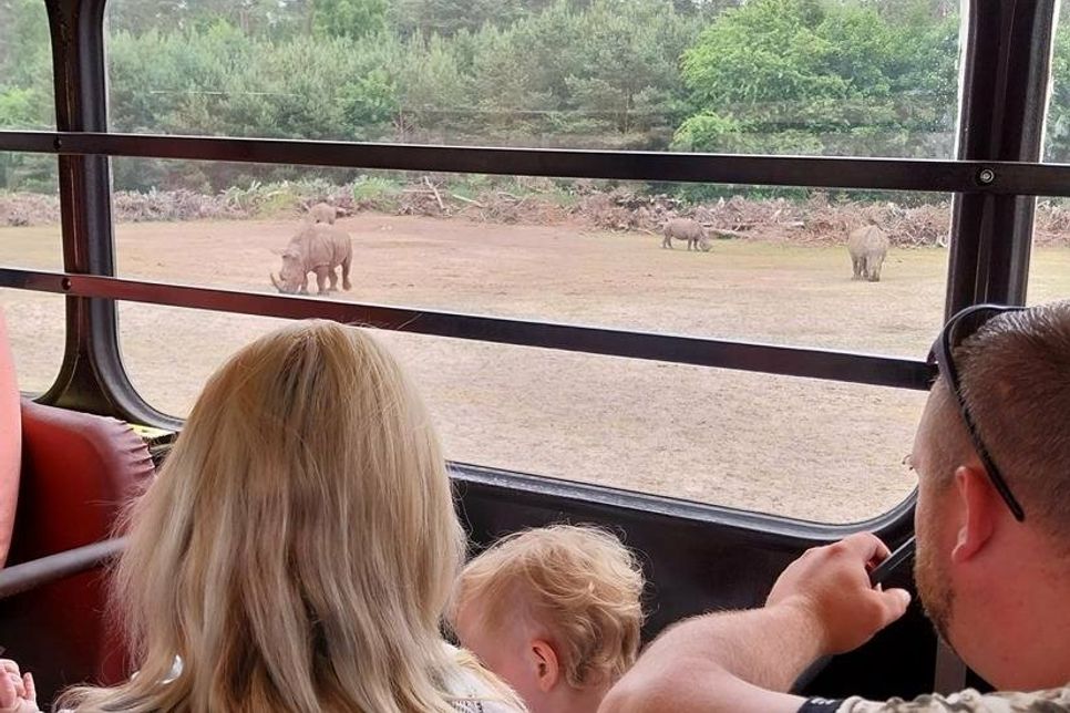 Mit dem Safaribus ging es durch den Park.