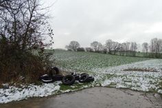 Polizei Grömitz ermittelt.