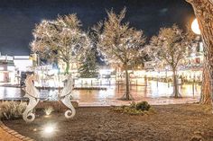 Nach dem feierlichen Auftakt am 2. November wird das Timmendorfer Zentrum wieder bis Februar strahlen. (Foto: Torsten Vollbrecht)