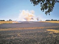 Juli/August: Sommer mit endloser Hitze und ohne Regen - zahlreiche Flächenbrände halten die Feuerwehren auf Trapp.