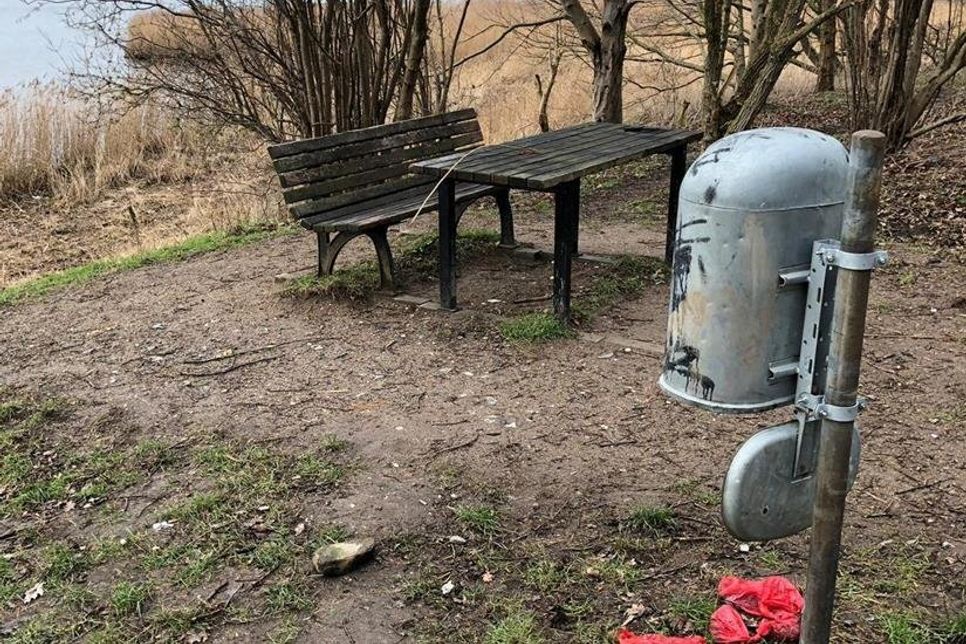 Bei einem Spaziergang hat sich einem aufmerksamen Neustädter dieses Bild geboten.