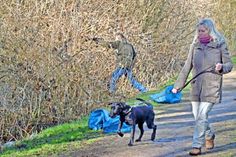 Immer wieder müssen Fritz Heydemann und Wolfgang Plohr einen Sprung in die kratzigen Brombeerranken riskieren, um der hier entsorgten Hundekotbeutel habhaft zu werden.