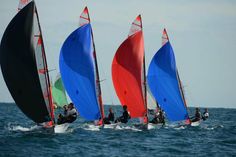 Die Jugendteams kämpfen auf den rasanten 29er-Skiffs in der Neustädter Bucht um den Landesjugendmeistertitel.
