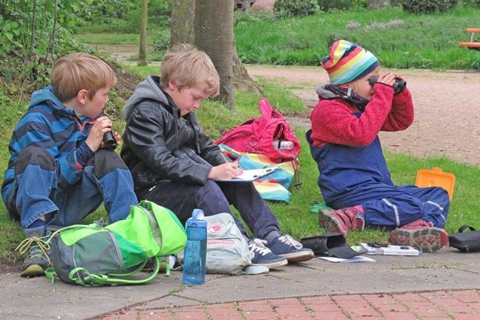 Frederik, Benno und Johanna suchen die Umgebung des Laboer Kurparks nach verschiedenen Vogelarten ab.