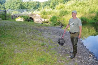 Gewässerverunreinigung in der Schwartau: Angelverein beziffert Anzahl der toten Fische auf bis zu 5.000