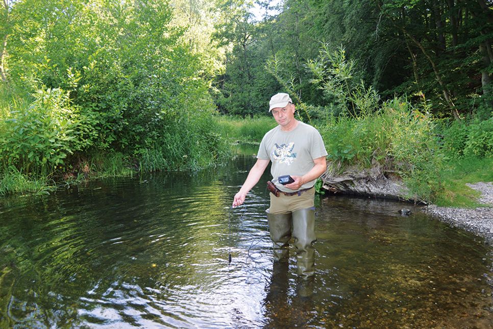 Gewässerverunreinigung in der Schwartau: Angelverein beziffert Anzahl der toten Fische auf bis zu 5.000