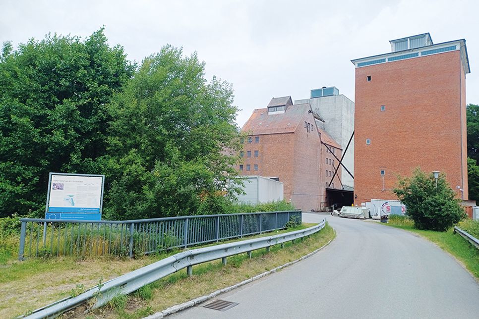 Gewässerverunreinigung in der Schwartau: Angelverein beziffert Anzahl der toten Fische auf bis zu 5.000