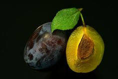 Tipps für eine klimafreundliche Ernährung runden den Vortrag ab.