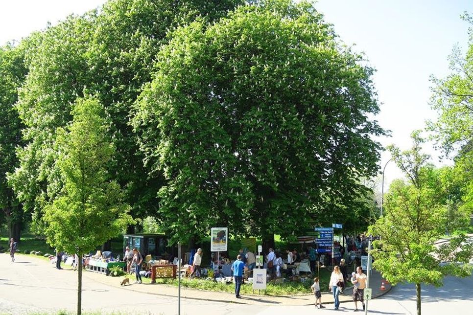 Der Flohmarkt findet am Sonntag in der Schmidt-Rottluff-Allee statt.