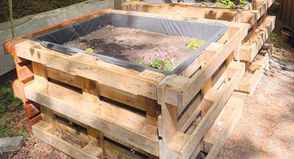 Ostsee-Gymnasium Timmendorfer Strand: Schülerinnen und Schüler setzen ein selbst geplantes Projekt um