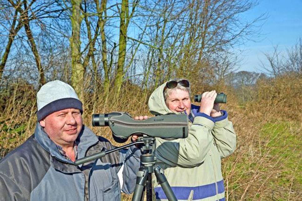 In regelmäßigen Abständen müssen Nadja und Achim Gimbel durch das Fernglas spähen, um dokumentieren zu können, was sich am Adlerhorst alles ereignet.
