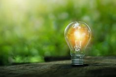Die sogenannte Lichtverschmutzung nimmt weltweit zu und wirkt sich negativ auf Mensch, Tier und Umwelt aus.