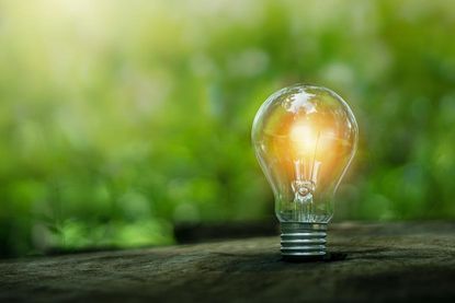 Die sogenannte Lichtverschmutzung nimmt weltweit zu und wirkt sich negativ auf Mensch, Tier und Umwelt aus.