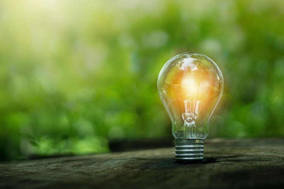 Die sogenannte Lichtverschmutzung nimmt weltweit zu und wirkt sich negativ auf Mensch, Tier und Umwelt aus.