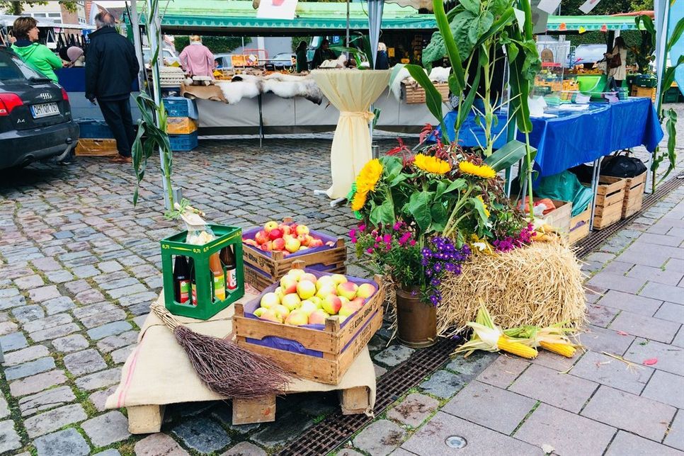 Geschätzt werden sollte die genaue Anzahl an Äpfeln in den zwei Kisten. (Foto: Stadtmarketing)