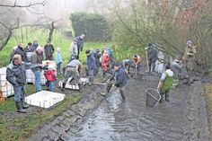 Mit großen Keschern bewaffnet, versuchten die fleißigen Helfer die wenigen Fische einzufangen.