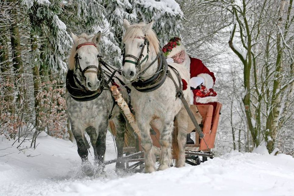 Der Weihnachtsmann wird den Tätern in diesem Jahr wohl nur eine Rute unter den Baum legen.