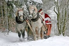 Der Weihnachtsmann wird den Tätern in diesem Jahr wohl nur eine Rute unter den Baum legen.