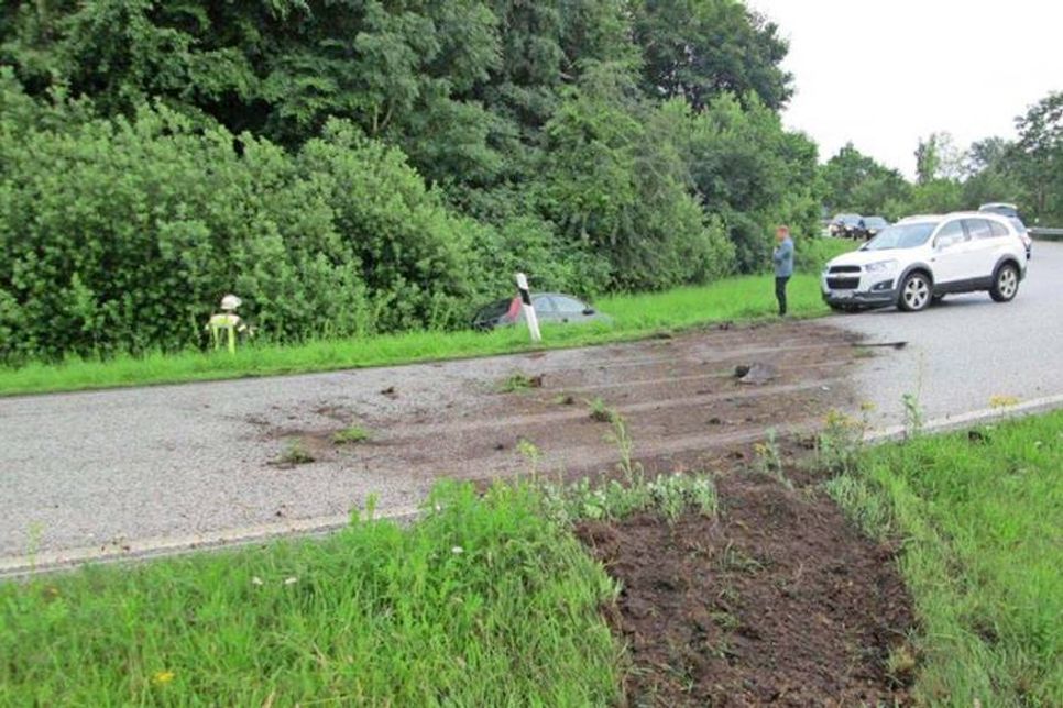 Der Hund der Fahrerin blieb bei dem Unfall unverletzt.
