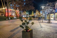 Vorweihnachtlicher Glanz gibt es ab 5. November wieder im Zentrum von Timmendorfer Strand. Zur Auftaktveranstaltung mit Budenzauber und Eröffnungsprogramm sind alle herzlich eingeladen.