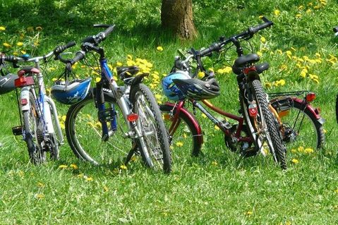 Mitmachen kann jeder, der als Mitglied eines Neustädter Teams beim Stadtradeln registriert ist.