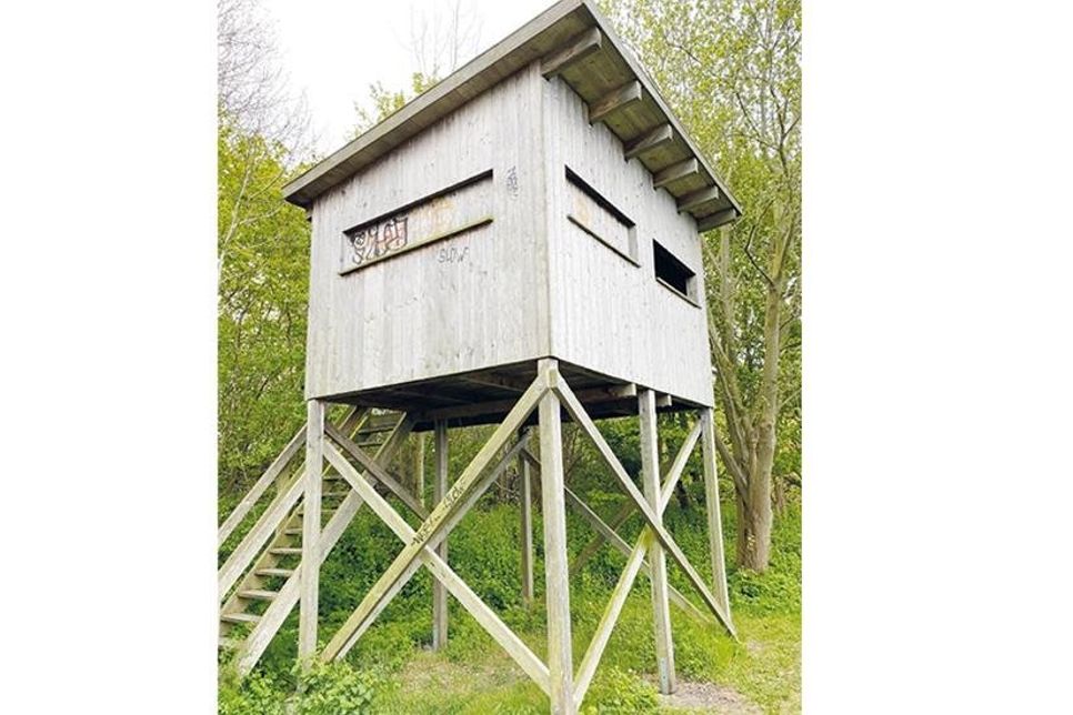 Nach neuerlichem Vandalismus ist der Aussichtsturm am Ruppersdorfer See zurzeit wegen Wartungsarbeiten geschlossen.