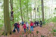 Das Wald- und Kletterfest lockt jedes Jahr zahlreiche Unerschrockene auch aus dem Umland von Bad Schwartau an.