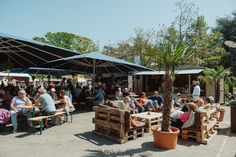 Das PfingsTON Festival verbindet maritimes Lebensgefühl mit Musik und Kulinarik.
