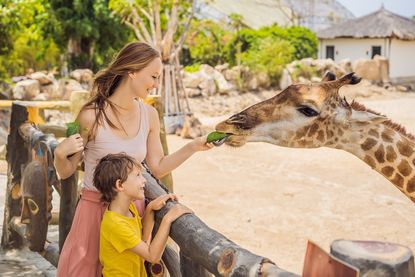 (Beispielfoto Adobe Stock)