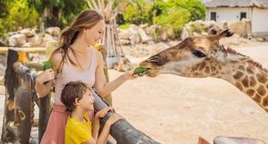 (Beispielfoto Adobe Stock)