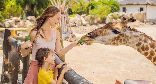 (Beispielfoto Adobe Stock)